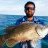 Tripletail
